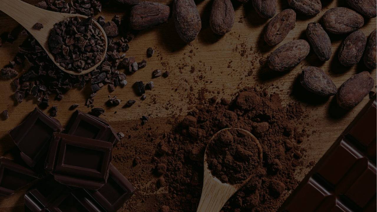 Supplier cocoa powder